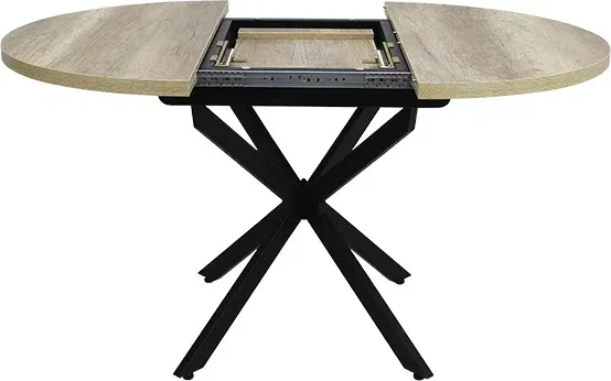 Обеденный стол Виста Парма-2 100x135 ВС/421