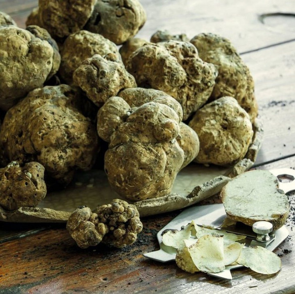 Нож Paderno 48237-00