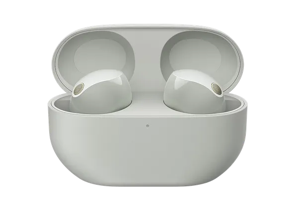 Беспроводные наушники Sony WF-1000XM5/SC - фото