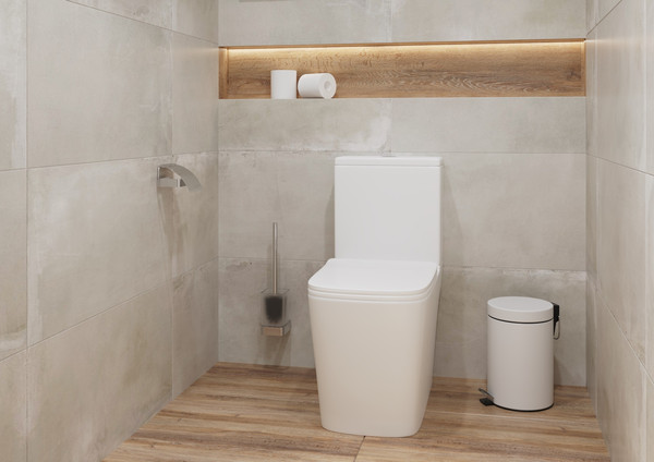 Унитаз напольный Lauter W09 S-TRAP 21900004 + гигиенический душ AquaTech 21LT0101CH