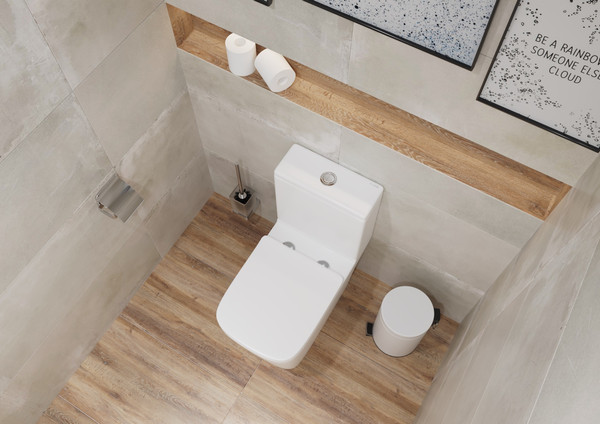 Унитаз напольный Lauter W09 P-TRAP 21900002 + гигиенический душ Breez 21GN7071CH