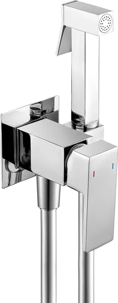 Унитаз напольный Lauter Rimless 21D2202 + гигиенический душ Rinse 21GN4051CH