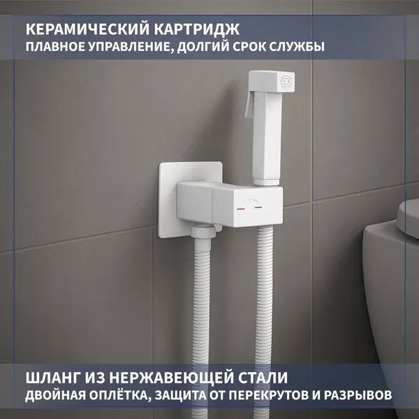 Унитаз напольный Lauter Rimless 21D2202 + гигиенический душ Rainix 21LT7713MW