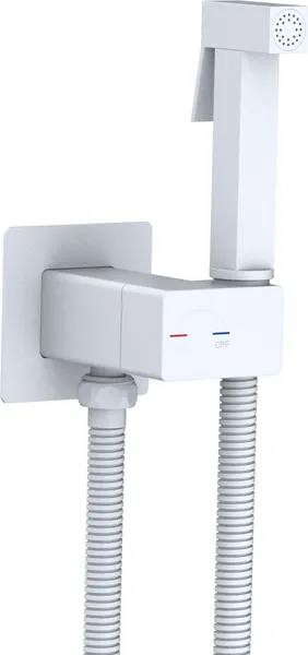 Унитаз напольный Lauter Rimless 21D2202 + гигиенический душ Rainix 21LT7713MW