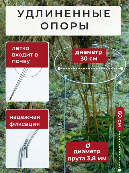 Опора для растений ARTELIKA Удлинённые для цветов и кустов 30х60см