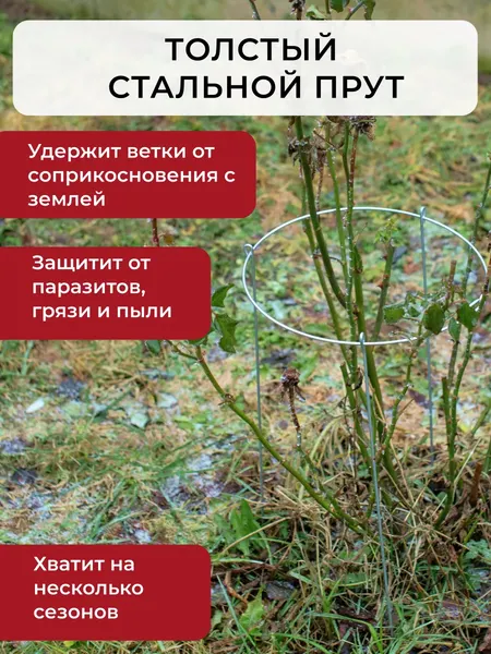 Опора для растений ARTELIKA Удлинённые для цветов и кустов 30х60см