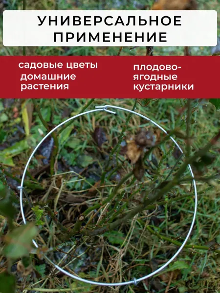 Опора для растений ARTELIKA Удлинённые для цветов и кустов 30х60см