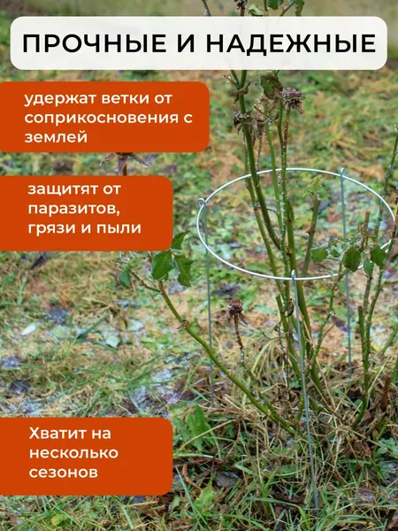 Опора для растений ARTELIKA Удлинённые для цветов и кустов 40х70см