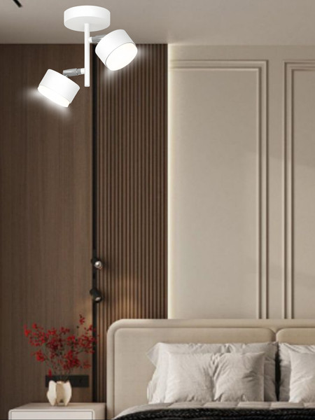 Потолочный светильник Aitin-Pro X3724/2