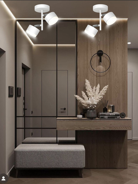 Потолочный светильник Aitin-Pro X3724/2