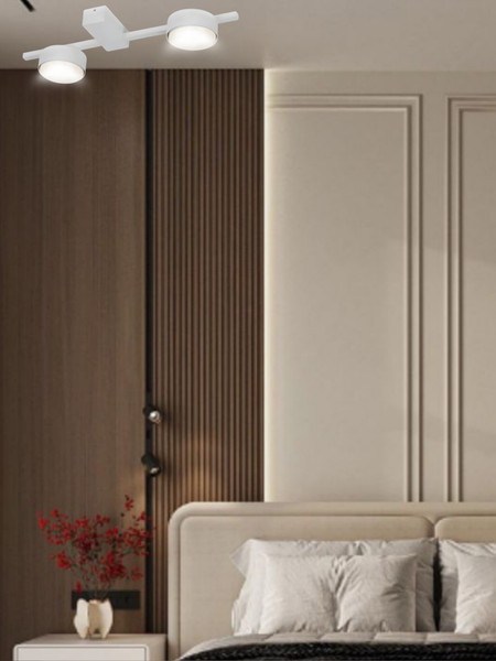 Потолочный светильник Aitin-Pro X3796/2