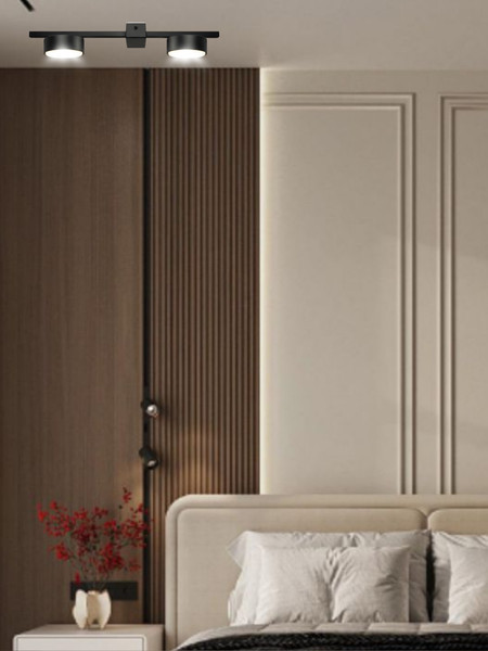 Потолочный светильник Aitin-Pro X3796/2