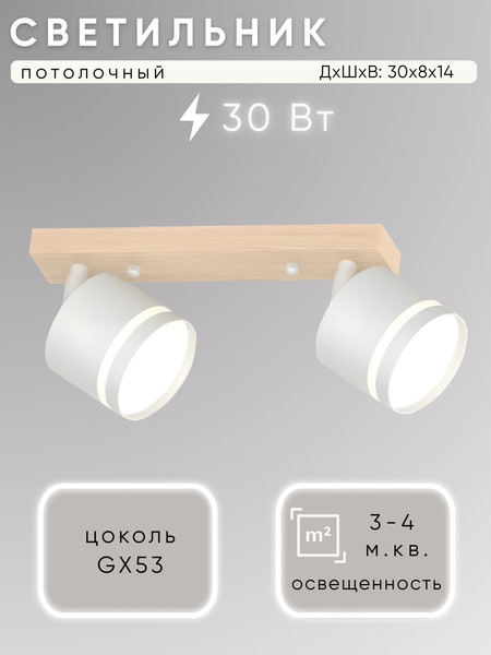 Спот Aitin-Pro X4504/2 - фото
