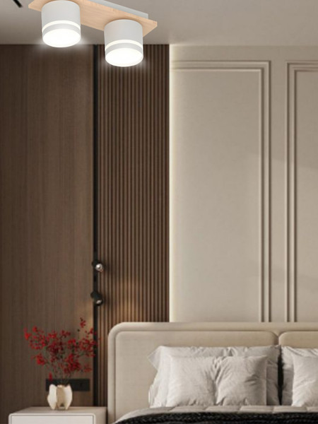 Потолочный светильник Aitin-Pro X4516/2