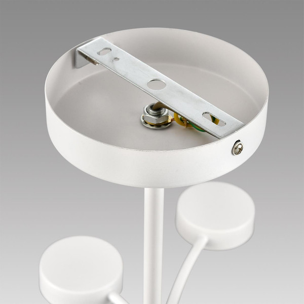 Люстра Lumion Torina 8265/12