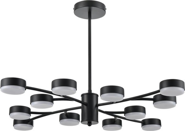 Люстра Lumion Torina 8117/12 - фото