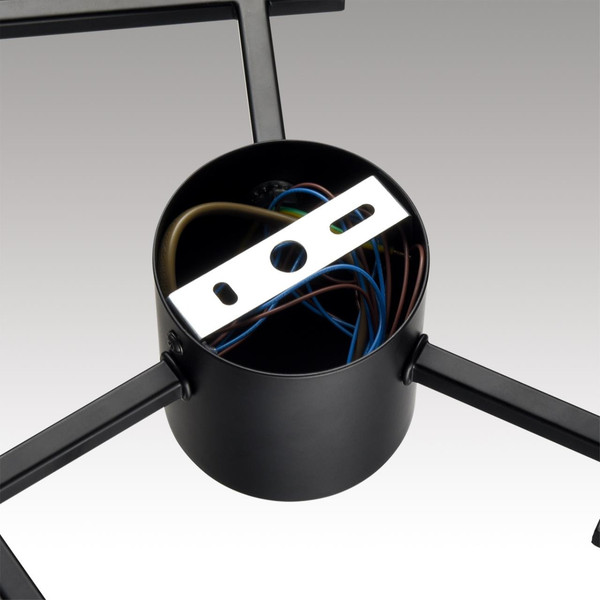 Люстра Lumion Dabra 8186/6C