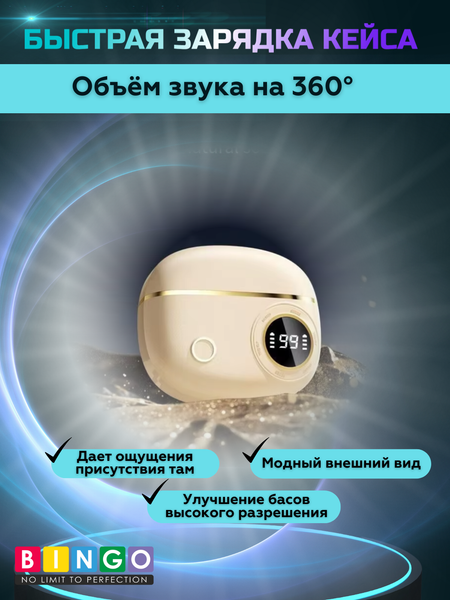 Беспроводные наушники Bingo V12