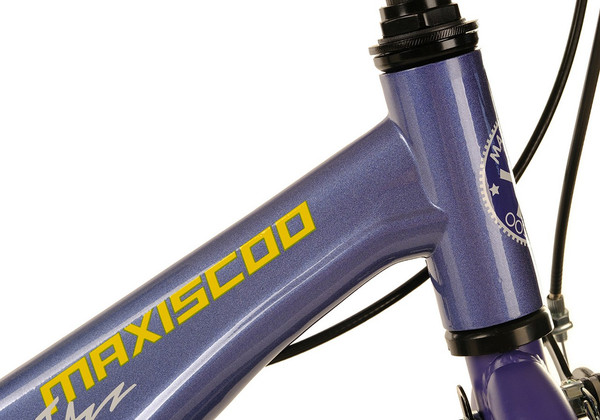 Детский велосипед Maxiscoo Jazz Стандарт Плюс 14 2024 / msc-j1431