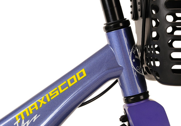 Детский велосипед Maxiscoo Jazz Pro 14 2024 / msc-j1431p
