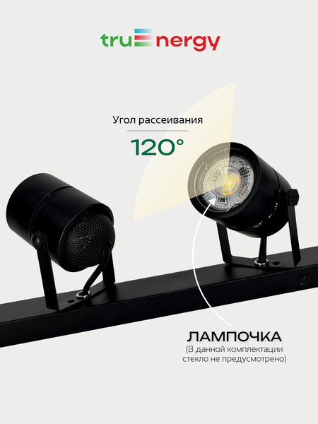 Спот Truenergy 21466