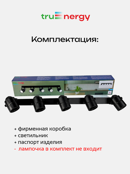 Спот Truenergy 21466