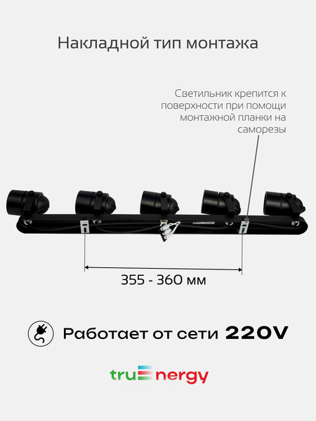 Спот Truenergy 21466