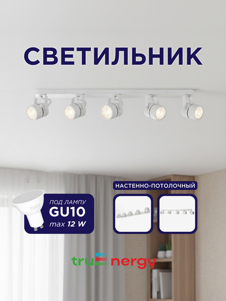 Спот Truenergy 21467