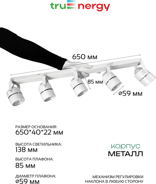 Спот Truenergy 21467