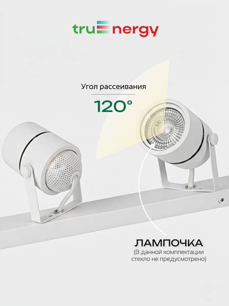 Спот Truenergy 21467