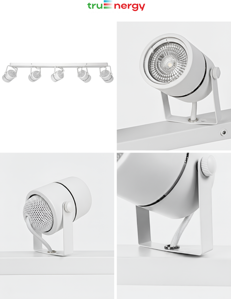 Спот Truenergy 21467