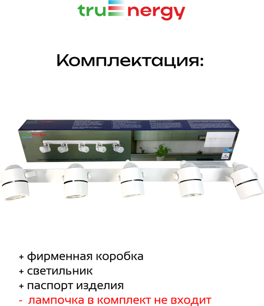 Спот Truenergy 21467