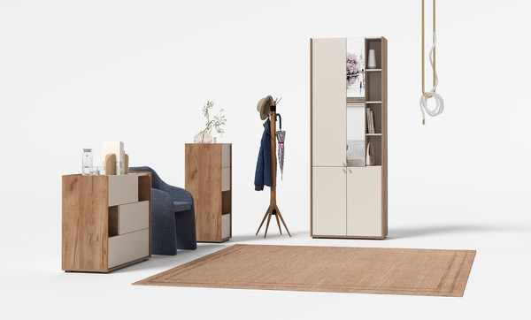 Шкаф Тащи в дом Орма МС