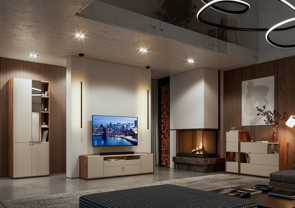 Шкаф Тащи в дом Орма МС