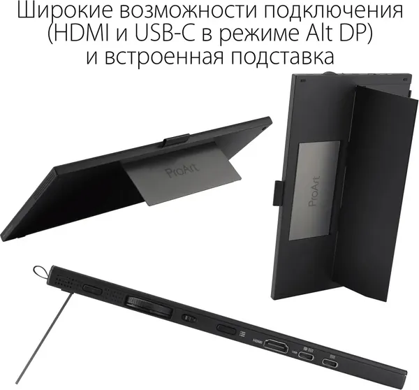 Портативный монитор Asus ProArt PA169CDV