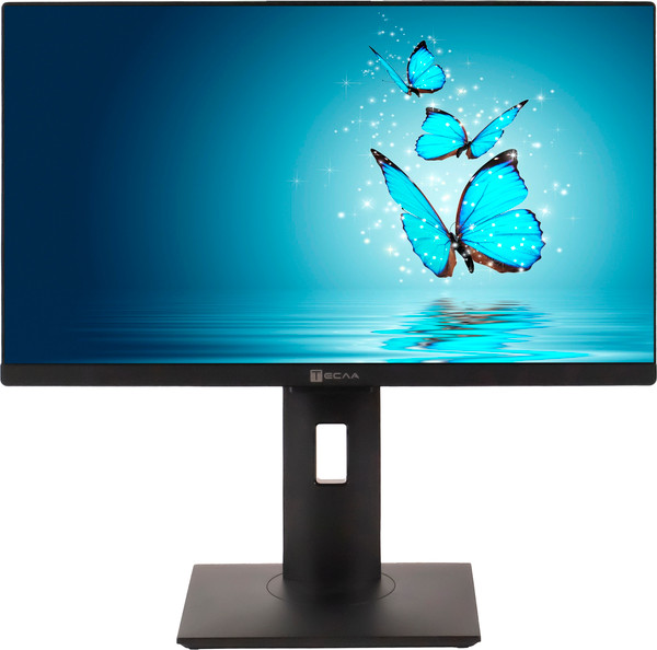 Моноблок Тесла P24BP / 3116500 - фото