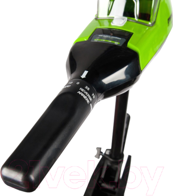 Мотор лодочный Greenworks G40TM55 / 9000207