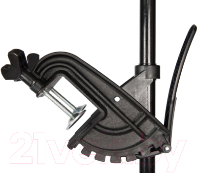 Мотор лодочный Greenworks G40TM55 / 9000207