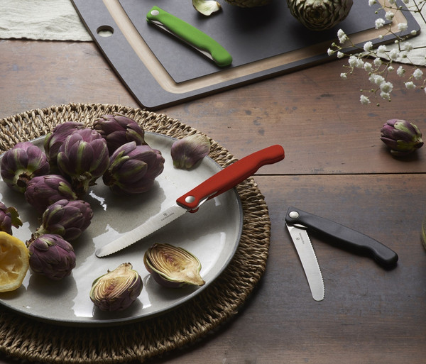 Нож Victorinox Swiss Classic 6.7833.F