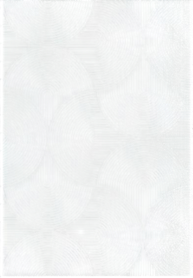 Ковер Safyun Diana / NP417-GREY - фото