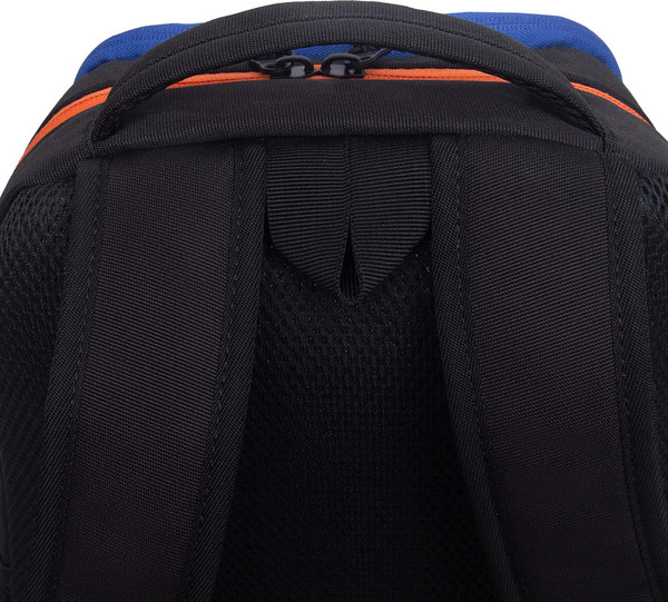 Школьный рюкзак Grizzly RB-651-10