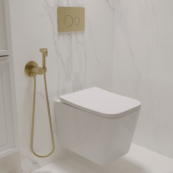 Унитаз подвесной с инсталляцией Oliveeka OL-MQ5014R22-BG