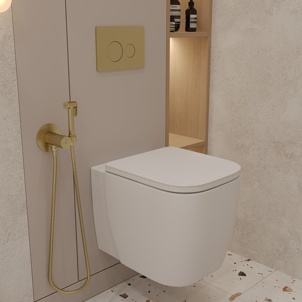 Унитаз подвесной с инсталляцией Oliveeka OL-MQG1R22-BG