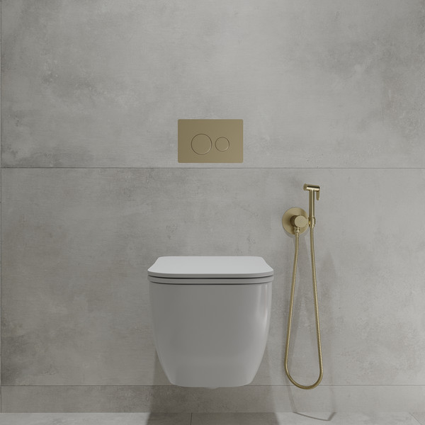 Инсталляция с унитазом подвесным Oliveeka OL-MQ1216R22-BG