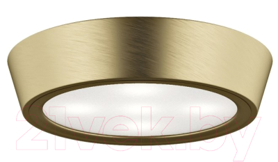 Потолочный светильник Lightstar Urbano 214912 - фото