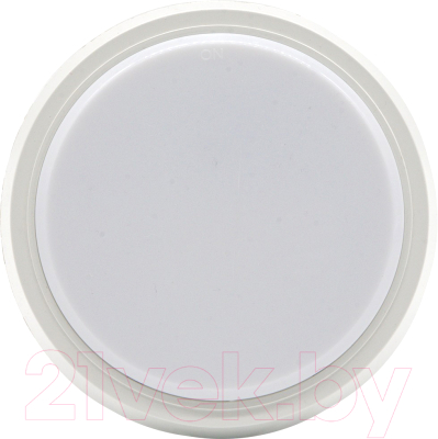 Светильник Glanzen RPD-0001-08-Mat - фото