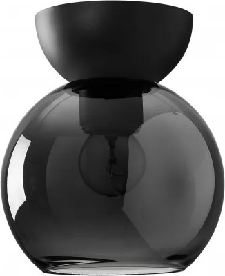 Потолочный светильник ILamp Mono C6079-1 BK+SM - фото