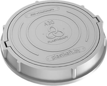 Люк канализационный PLASTKRAFT А30 30Кн h110 - фото