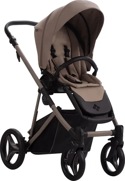 Детская универсальная коляска Bebetto Pelpasso Pro 2в1