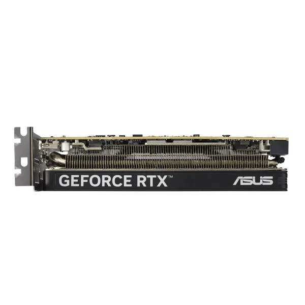 Видеокарта Asus GeForce RTX 5060 LP BRK 8GB GDDR7 OC